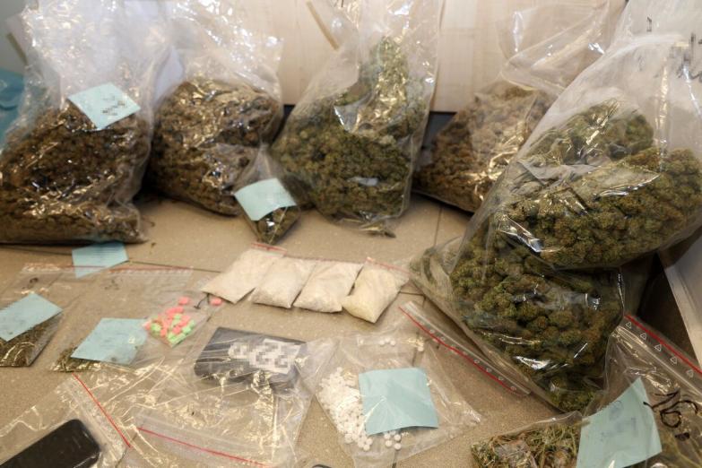 Narkotyki i nielegalna uprawa. Zatrzymany mieszkaniec powiatu garwolińskiego